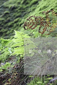 北京通州专业房产律师 北京通州专业房产律师