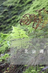 北京通州区婚姻法律顾问 北京通州区婚姻法律顾问