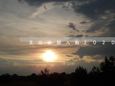 北京逾期人数2020 北京逾期人数2020