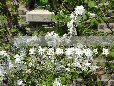 北京逾期未年检3年 北京逾期未年检3年