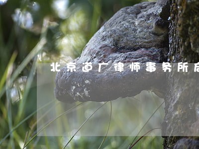 北京道广律师事务所启信宝 北京道广律师事务所启信宝