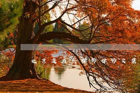 北京道成所律师律师文集 北京道成所律师律师文集