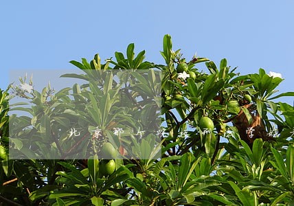 北京那个院校刑法学好考 北京那个院校刑法学好考