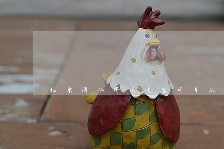 北京酒仙桥法院李甲军法官 北京酒仙桥法院李甲军法官