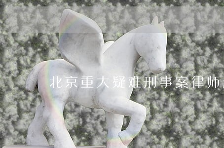 北京重大疑难刑事案律师起诉费用 北京重大疑难刑事案律师起诉费用