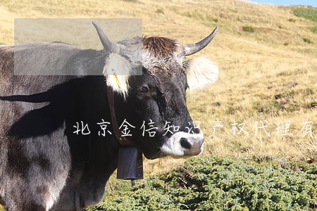 北京金信知识产权代理有限公司 北京金信知识产权代理有限公司