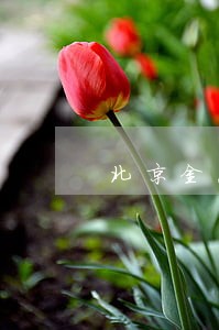 北京金惠利科技有限公司 北京金惠利科技有限公司