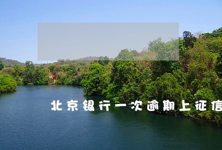 北京银行一次逾期上征信吗