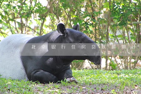 北京银行住房贷款逾期计算 北京银行住房贷款逾期计算