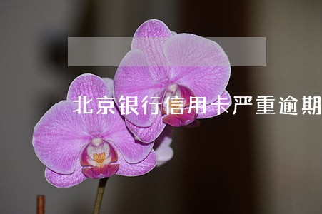 北京银行信用卡严重逾期