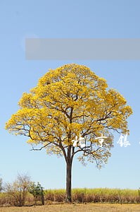 北京银行信用卡可以逾期几天 北京银行信用卡可以逾期几天