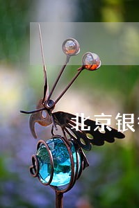 北京银行信用卡逾期10天