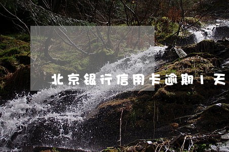北京银行信用卡逾期1天还款