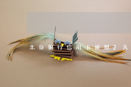 北京银行信用卡逾期2天 北京银行信用卡逾期2天