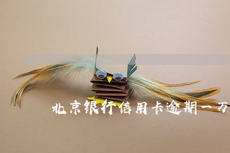 北京银行信用卡逾期一万五