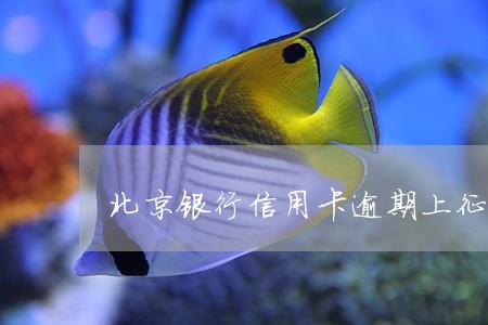 北京银行信用卡逾期上征信