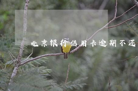 北京银行信用卡逾期不还 北京银行信用卡逾期不还
