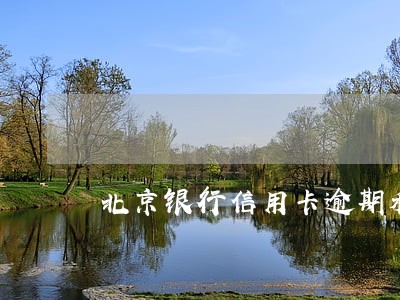 北京银行信用卡逾期利率 北京银行信用卡逾期利率
