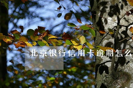 北京银行信用卡逾期怎么协商