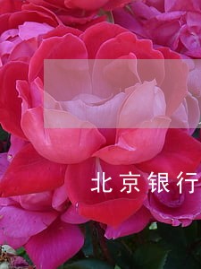北京银行信用卡逾期法律程序 北京银行信用卡逾期法律程序