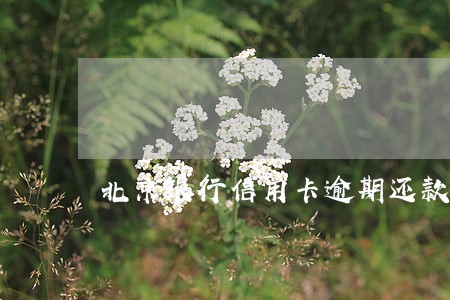 北京银行信用卡逾期还款冻结
