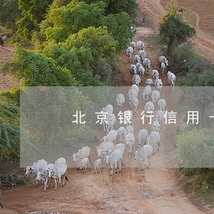北京银行信用卡非恶意逾期证明 北京银行信用卡非恶意逾期证明