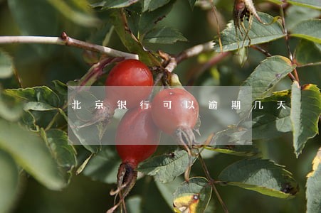 北京银行可以逾期几天 北京银行可以逾期几天
