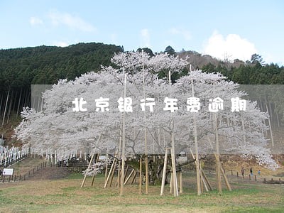 北京银行年费逾期