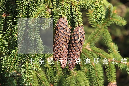 北京银行房贷逾期会怎样