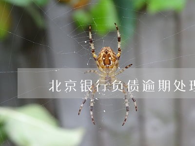 北京银行负债逾期处理律师 北京银行负债逾期处理律师