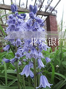 北京银行贷款晚一天算逾期吗 北京银行贷款晚一天算逾期吗