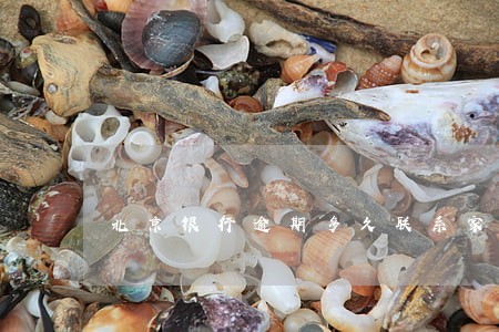 北京银行逾期多久联系家人
