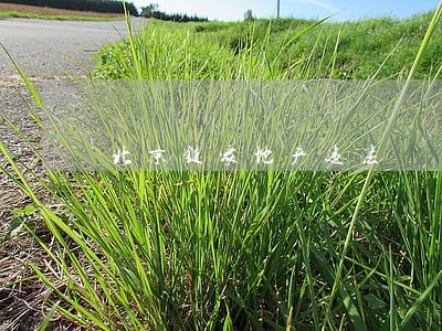 北京链家地产违法