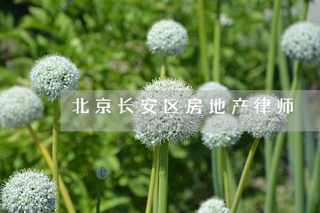 北京长安区房地产律师 北京长安区房地产律师
