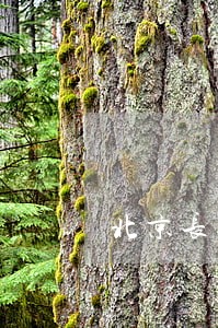 北京长期法律顾问排名 北京长期法律顾问排名
