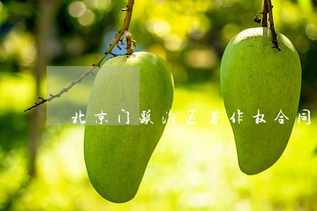 北京门头沟区著作权合同纠纷律师 北京门头沟区著作权合同纠纷律师