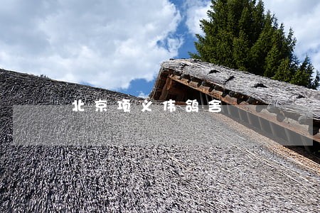 北京项义伟鸽舍 北京项义伟鸽舍