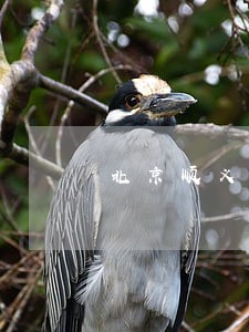 北京顺义区拆迁征地补偿律师团队 北京顺义区拆迁征地补偿律师团队