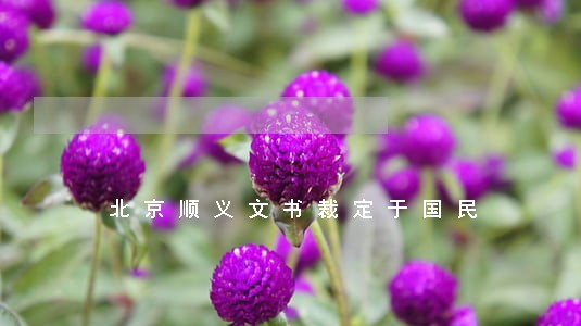 北京顺义文书裁定于国民 北京顺义文书裁定于国民