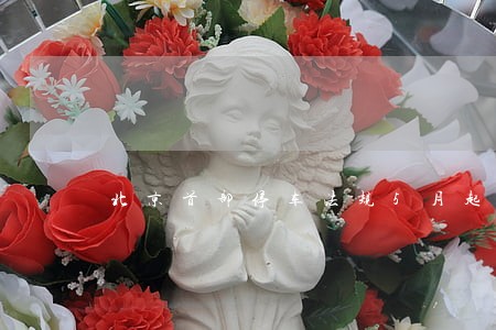 北京首部停车法规5月起施行 北京首部停车法规5月起施行