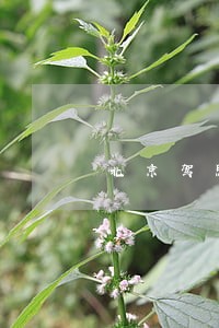 北京驾照绑定的银行卡逾期 北京驾照绑定的银行卡逾期