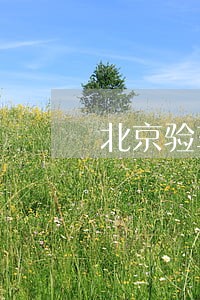 北京验车还有30天的逾期吗 北京验车还有30天的逾期吗