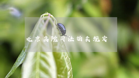 北京高院司法拍卖规定 北京高院司法拍卖规定