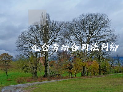 北仑劳动合同法纠纷 北仑劳动合同法纠纷