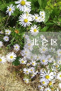 北仑区房产合同解除律师电话咨询 北仑区房产合同解除律师电话咨询