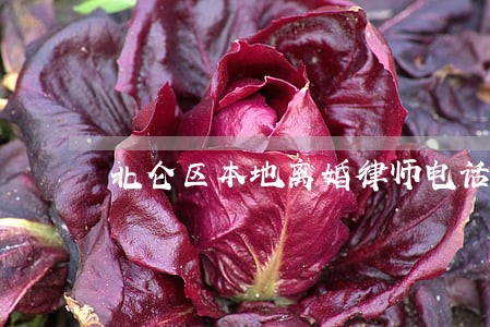 北仑区本地离婚律师电话 北仑区本地离婚律师电话