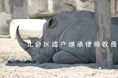 北仑区遗产继承律师收费 北仑区遗产继承律师收费