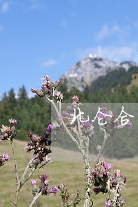 北仑合同纠纷律师咨询 北仑合同纠纷律师咨询