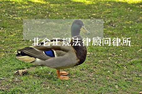 北仑正规法律顾问律所