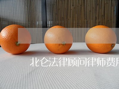 北仑法律顾问律师费用